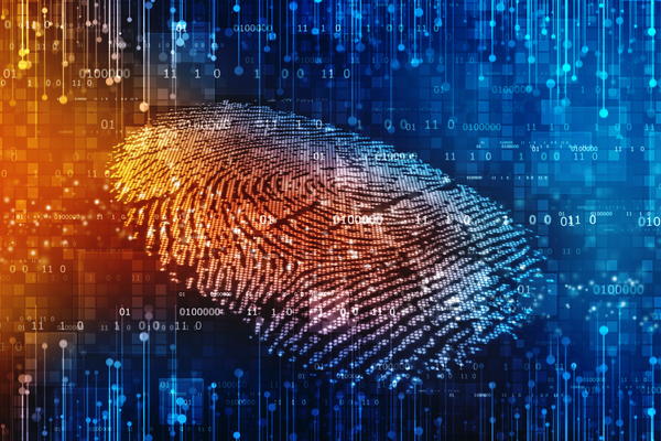 2021 NY/NJ Chapter Webinar - Navigating the Digital Crime Scene  Association of Inspectors 